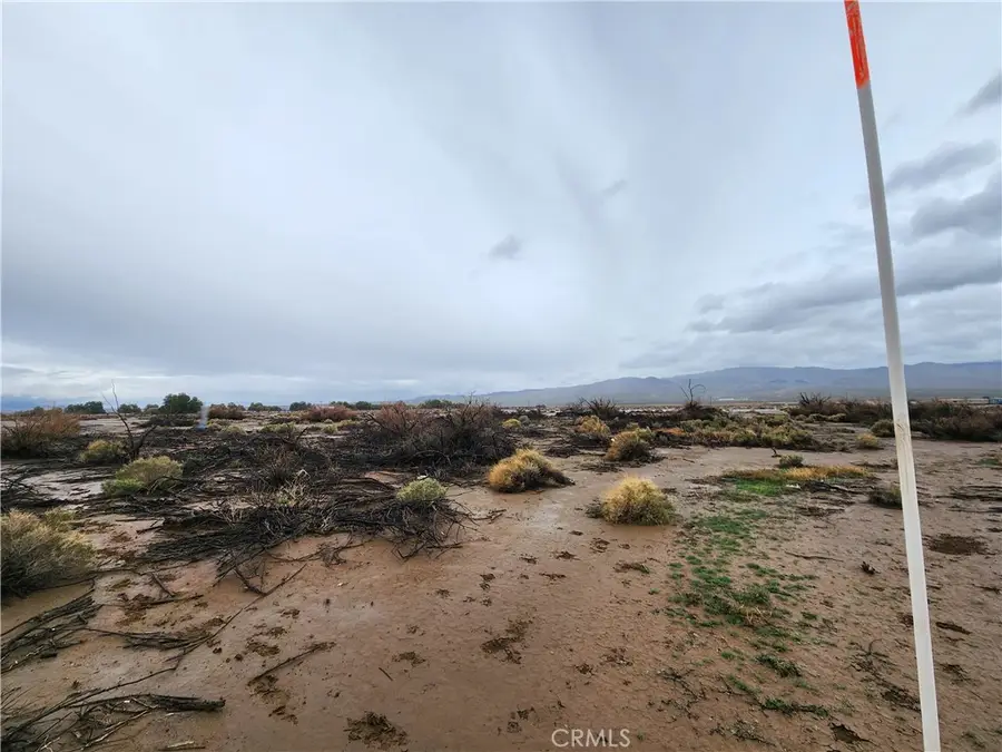 20 Morgan Lane, Newberry Springs, CA 92356 - #2