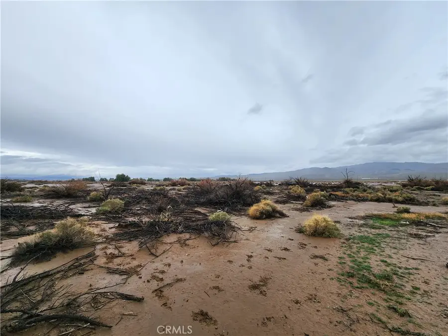 20 Morgan Lane, Newberry Springs, CA 92356 - #3