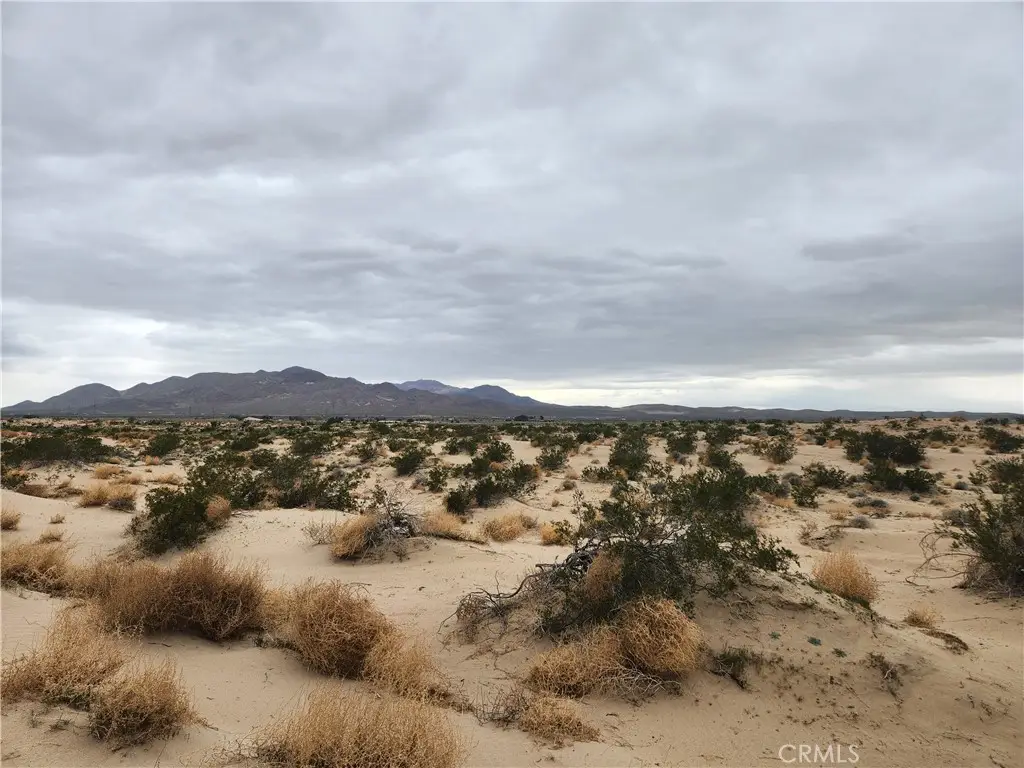 40 On Yearling Road, Newberry Springs, CA 92356 - #1