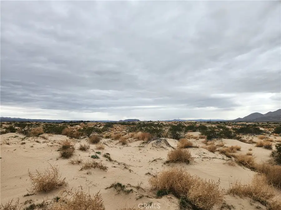 40 On Yearling Road, Newberry Springs, CA 92356 - #2