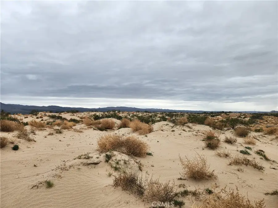 40 On Yearling Road, Newberry Springs, CA 92356 - #3