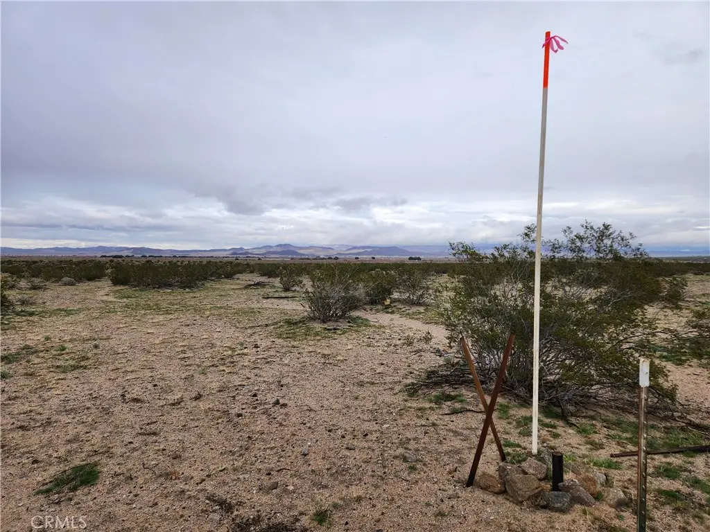 40 Near Center Road, Newberry Springs, CA 92356 - #1