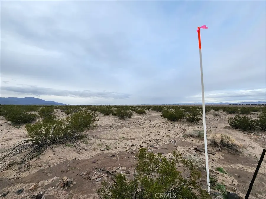 40 Near Center Road, Newberry Springs, CA 92356 - #3