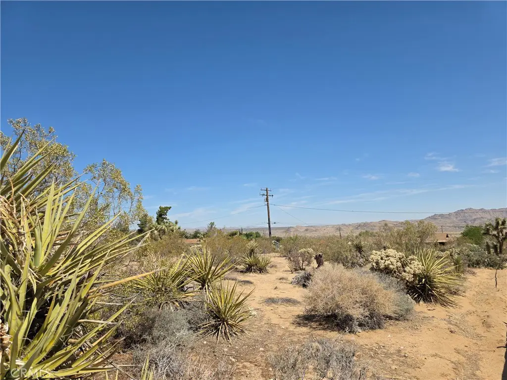 0 La Mirada Trail, Joshua Tree, CA 92252 - #1
