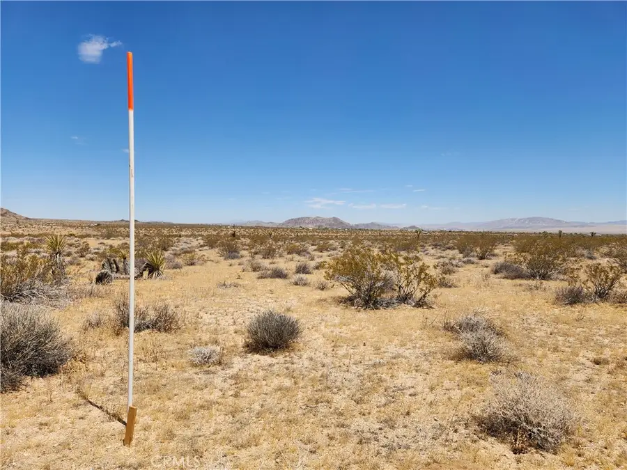 15 AC Bowman Trail, Joshua Tree, CA 92252 - #3