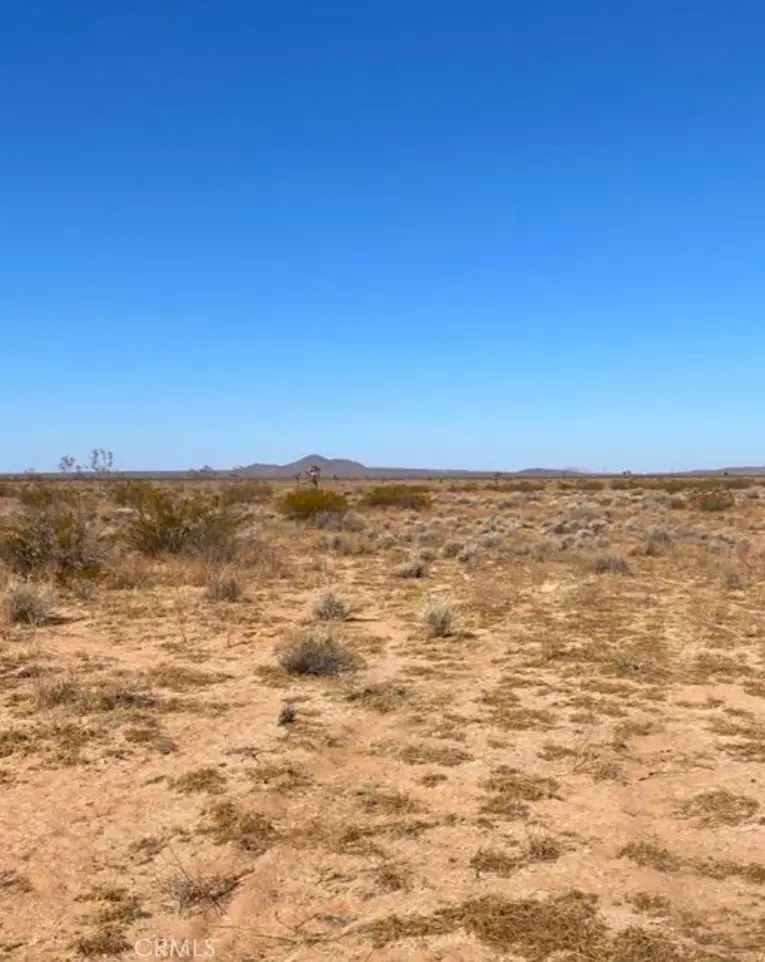 0 Shelby Road, Helendale, CA 92342 - #1