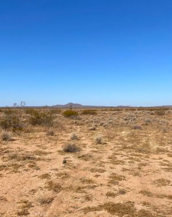 0 Shelby Road, Helendale, CA 92342