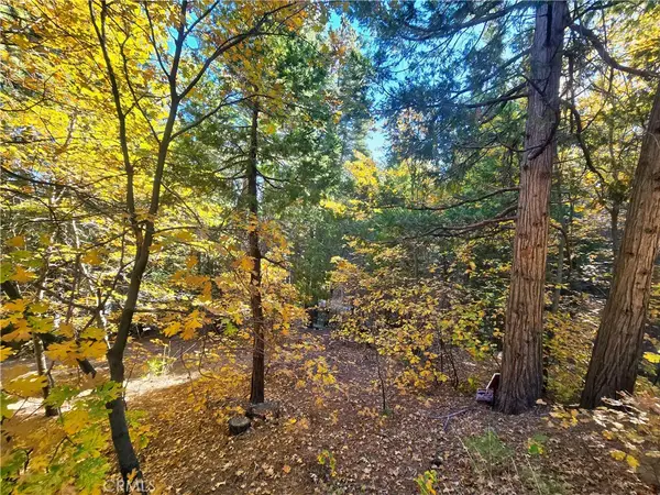 0 Brentwood Drive, Lake Arrowhead, CA 92352