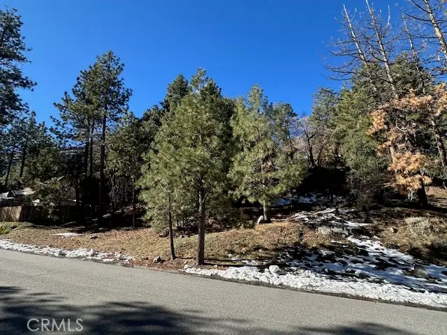 0 Flume Canyon, Wrightwood, CA 92397 - Image #2