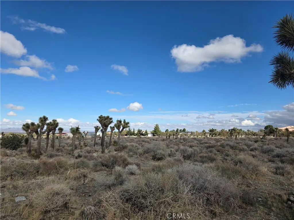 1 Goss Road, Pinon Hills, CA 92372 - #1