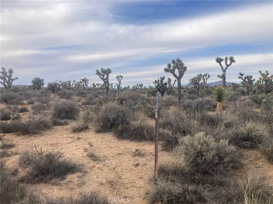 0 Cedar Canyon, Essex, CA 92332 - Image #3