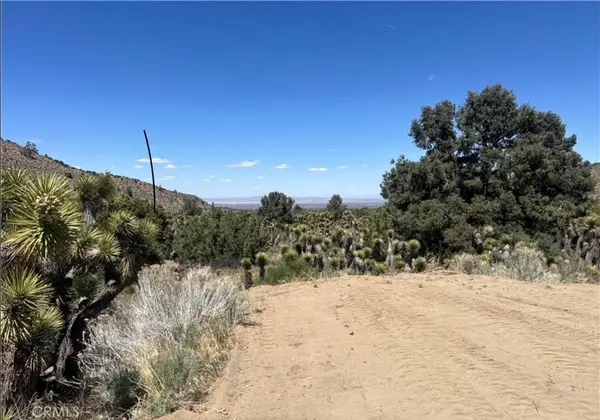 0 Evergreen Rd, Pinon Hills, CA 92372