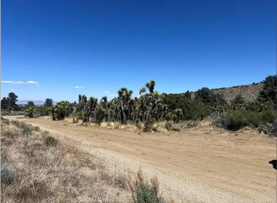 0 Evergreen Rd, Pinon Hills, CA 92372 - #3