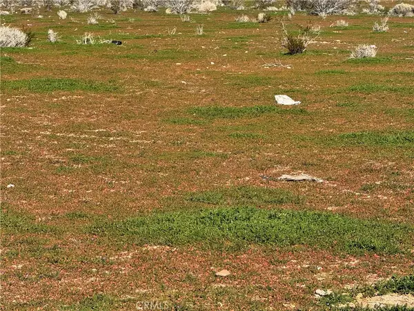 0 0, Morongo Valley, CA 92256