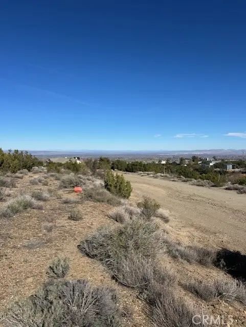 0 Sky Line Drive, Pinon Hills, CA 92372 - #3