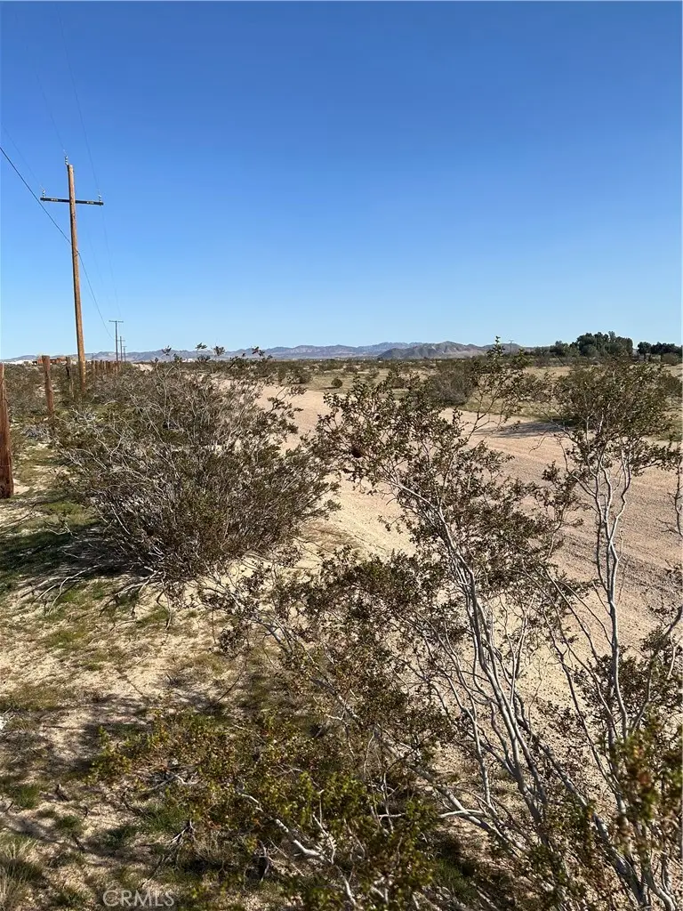 45850 Barrett, Newberry Springs, CA 92365 - #1