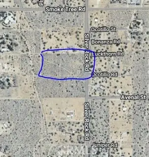 0 Silver Rock, Pinon Hills, CA 92372 - #2