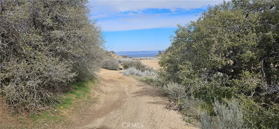8243 Simson Rd, Pinon Hills, CA 92372 - #3