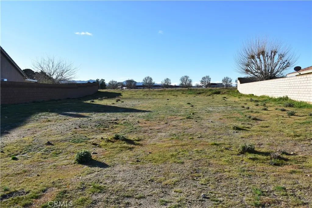 27237 Peach Tree Lane, Helendale, CA 92342 - #1