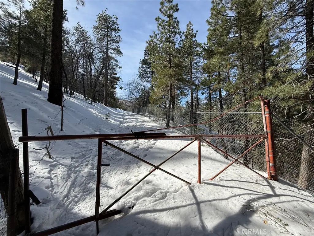 0 Linnet Road, Wrightwood, CA 92397 - #1