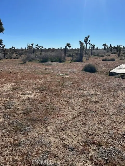 0 Schultz, Phelan, CA 92371 - #2