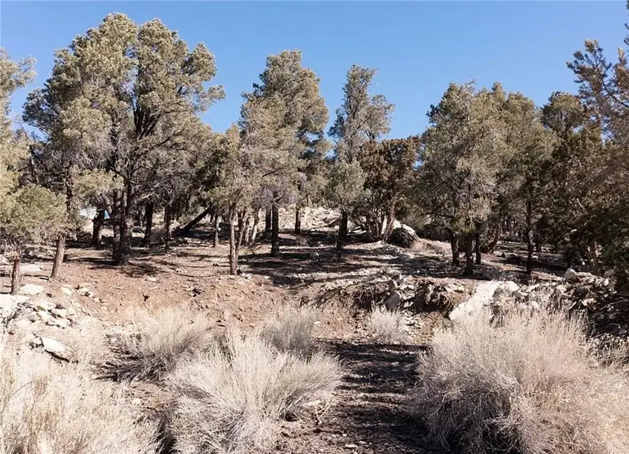 0 Lakeview Drive, Big Bear City, CA 92314 - #2