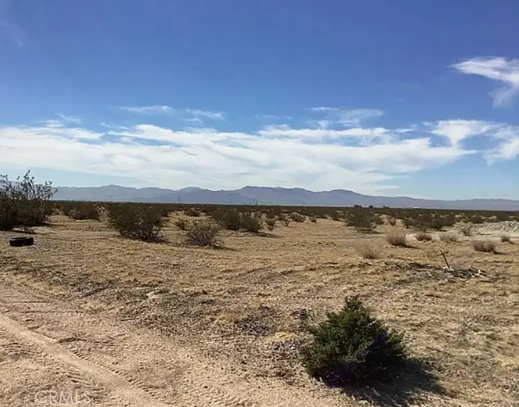 46750 Paradise Springs Road, Barstow, CA 92311 - #3