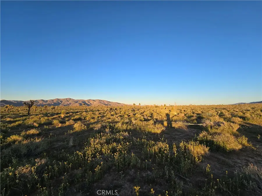 54 Japatul Road, Apple Valley, CA 92308 - #3