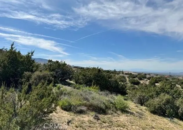 0 Snow Valley Rd., Pinon Hills, CA 92372 - #3