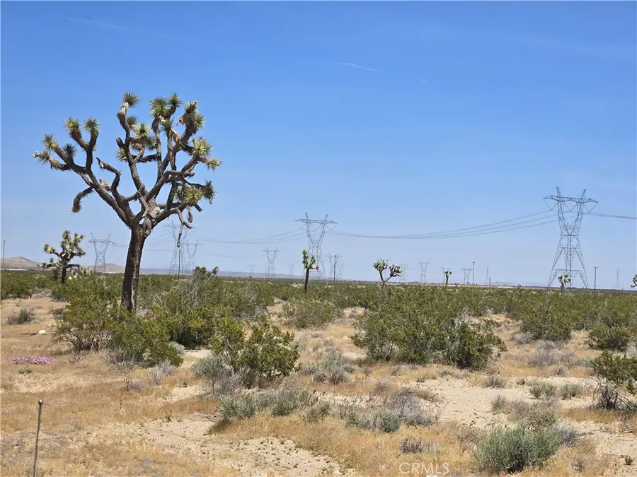 Acres Beaver Avenue, Adelanto, CA 92301 - #2