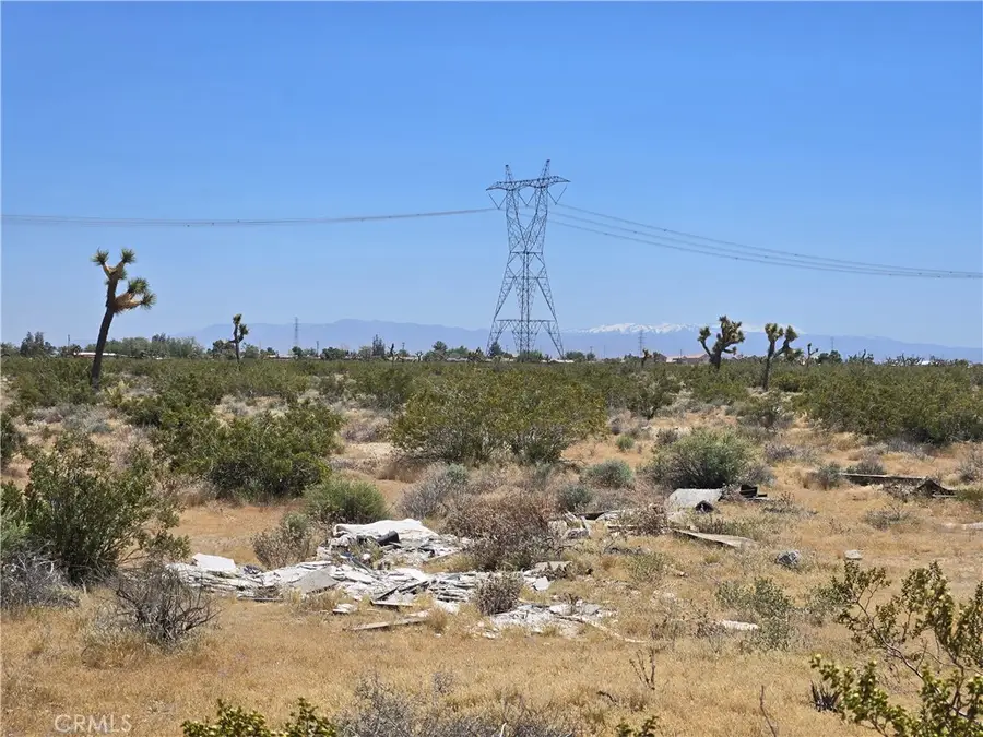 Acres Beaver Avenue, Adelanto, CA 92301 - #3