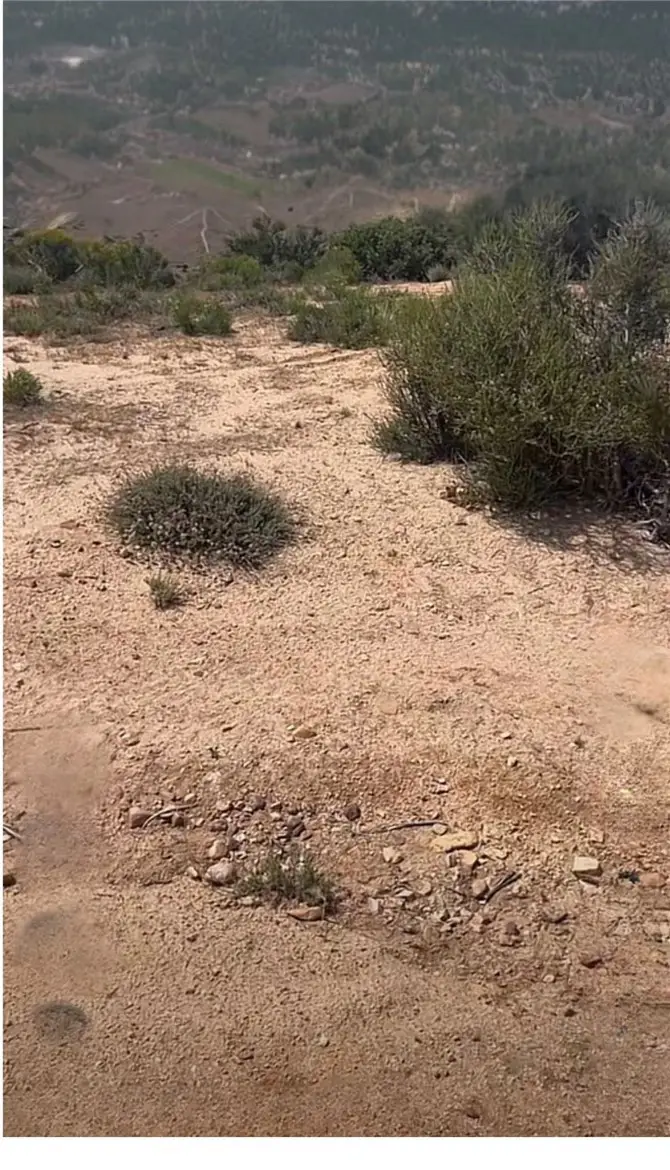 1 Mcconneny Road, Hesperia, CA 92345 - #1