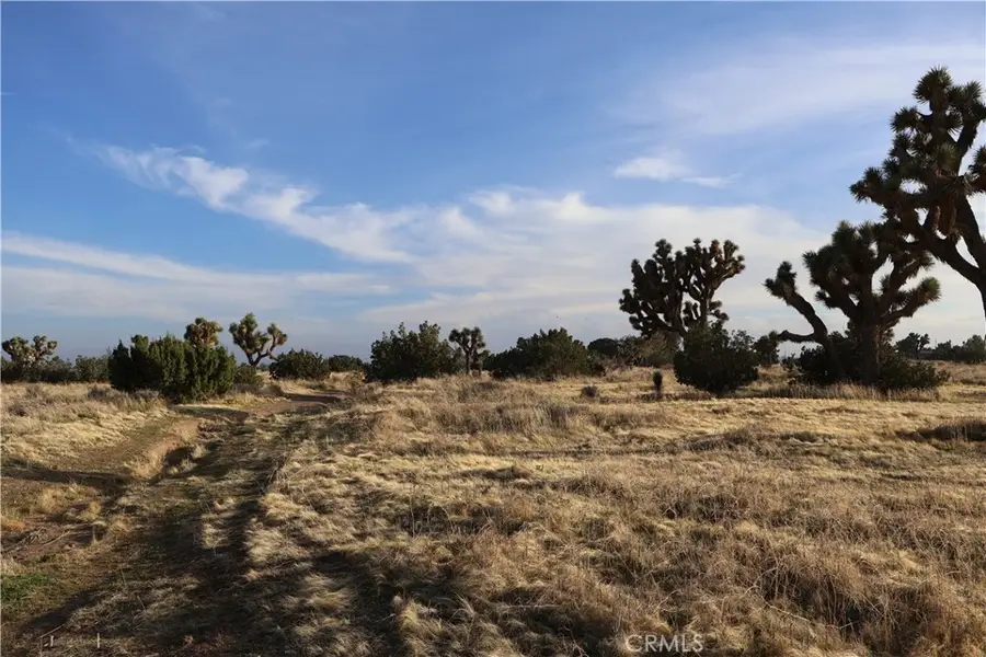 9955 Macron Street, Hesperia, CA 92344 - #3