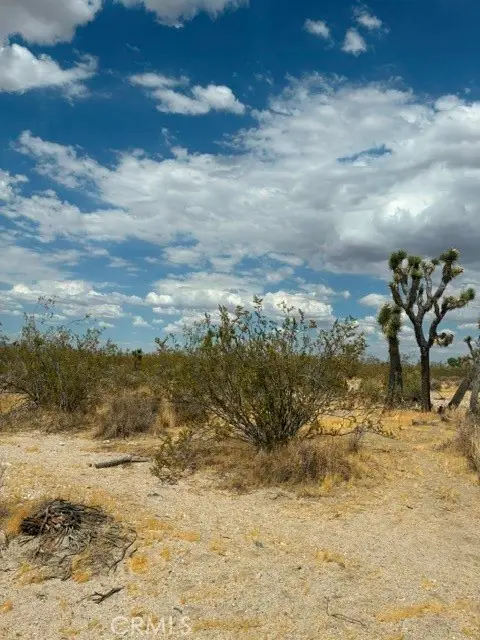 0 Ste/vic, Llano, CA 93591 - #2