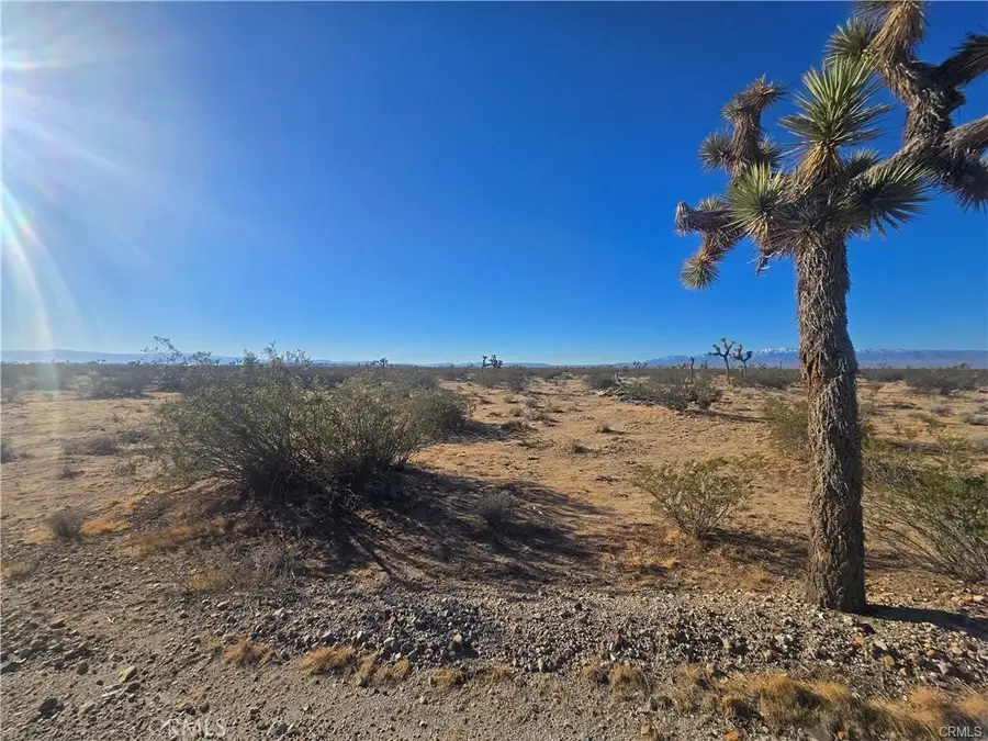 11955 Coronado Avenue, Adelanto, CA 92301 - #2