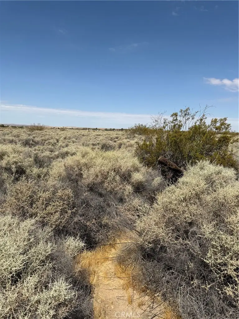 0 Wheeler, Helendale, CA 92342 - #2