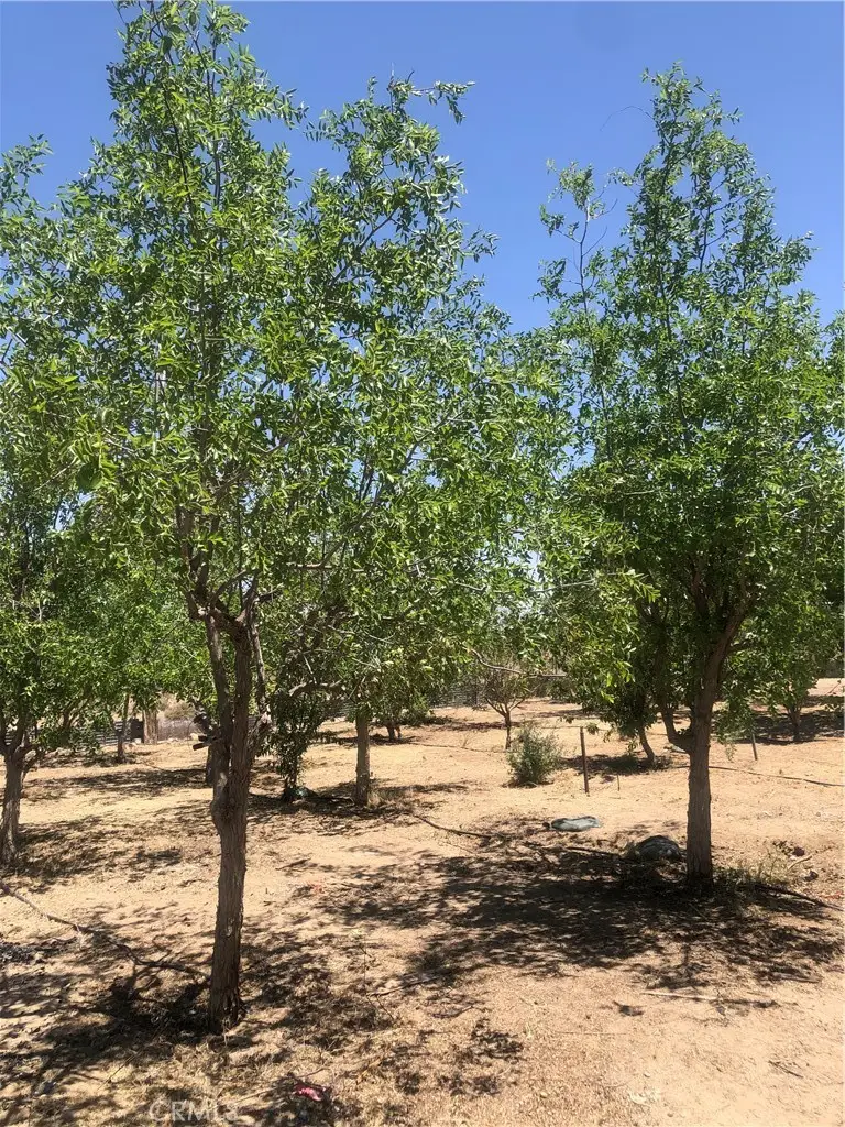 32726 Agate Road, Lucerne Valley, CA 92356 - #1