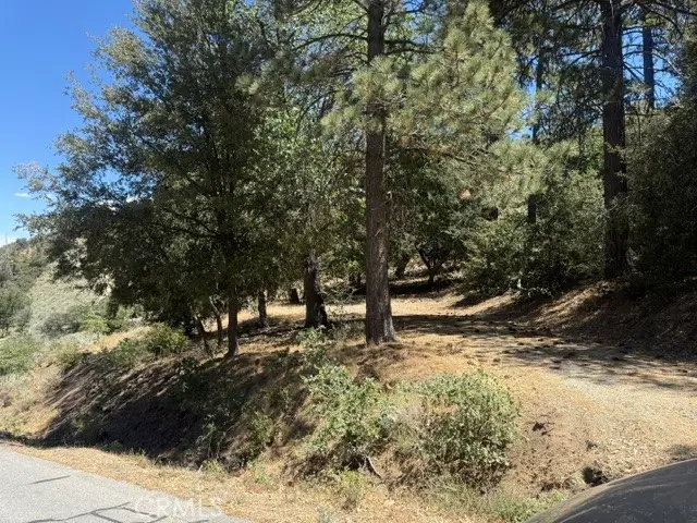 22301 Bernina Way, Tehachapi, CA 93561 - #1