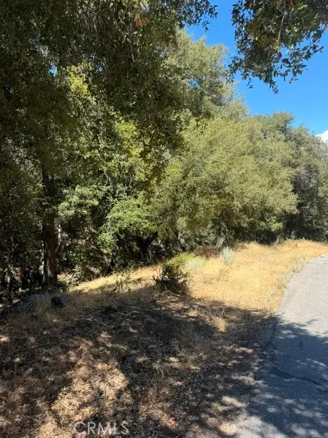 22301 Bernina Way, Tehachapi, CA 93561 - #2