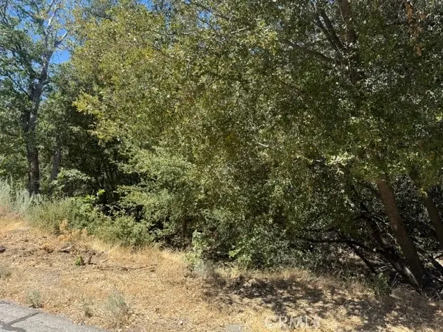 22301 Bernina Way, Tehachapi, CA 93561 - #3