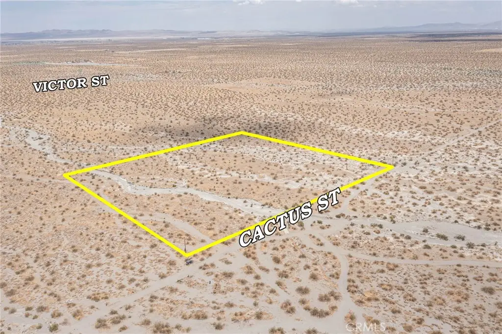 31001214 Cactus Road, Pinon Hills, CA 92372 - #1