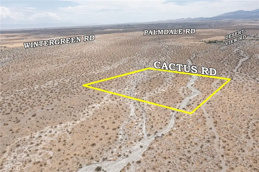 31001214 Cactus Road, Pinon Hills, CA 92372 - #3