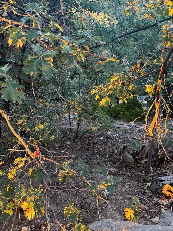 1 Crest Forest, Cedarpines Park, CA 92322