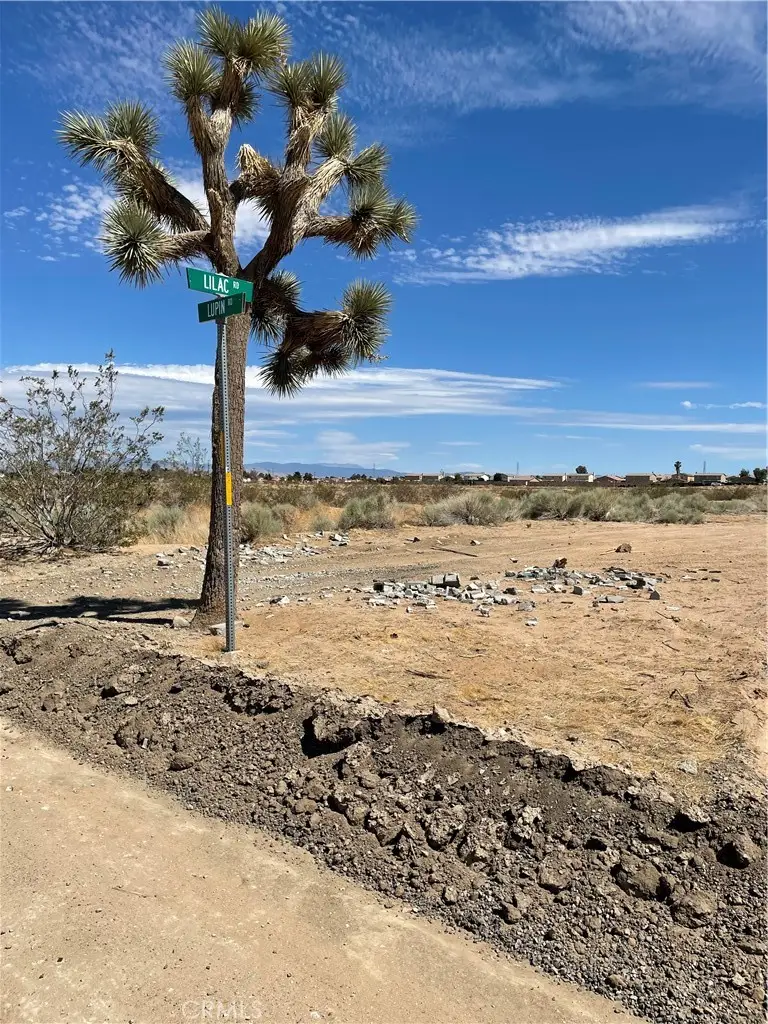 0 Lupin, Adelanto, CA 92301 - #3