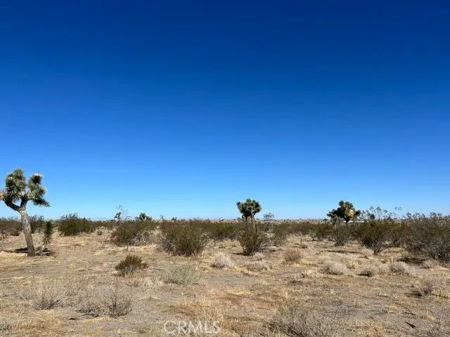 0 Luna-309806115, Phelan, CA 92371 - #1