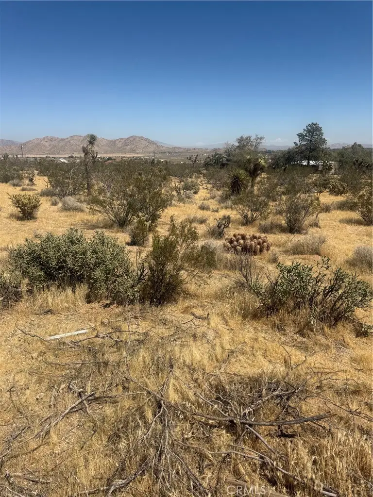 2 Horizon, Lucerne Valley, CA 92356 - #2