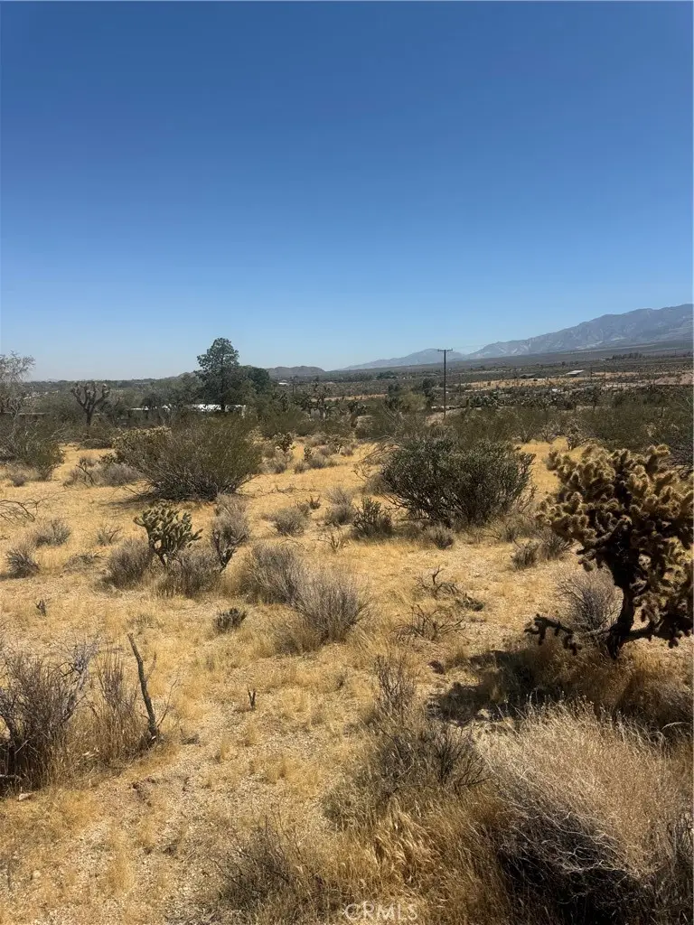 2 Horizon, Lucerne Valley, CA 92356 - #3