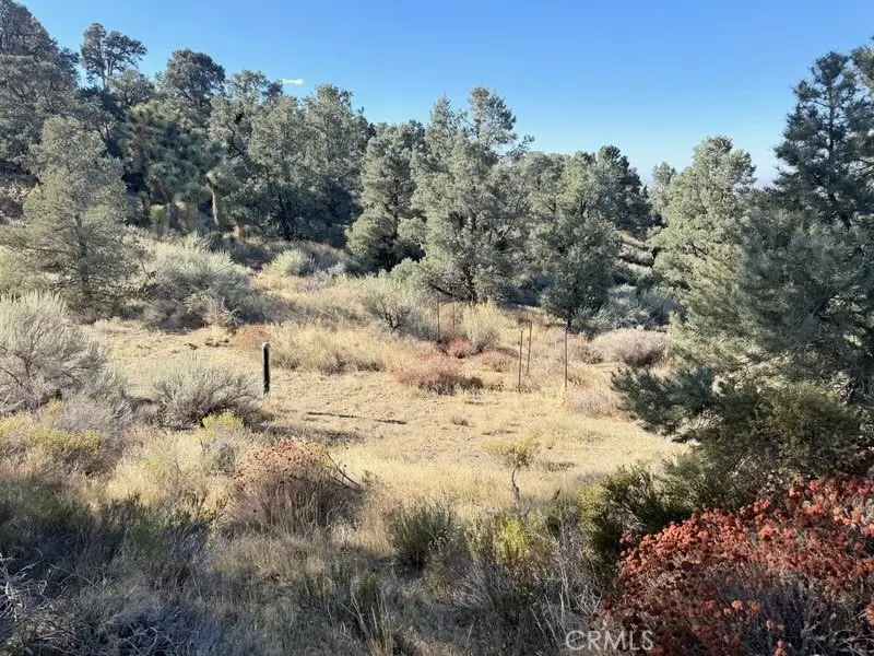0 Homeridge Drive, Pinon Hills, CA 92372 - #1