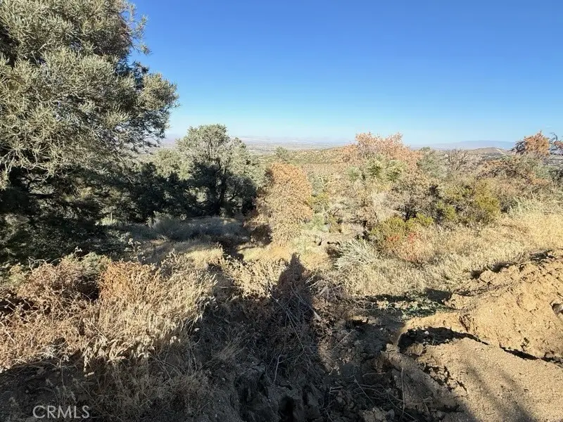 0 Homeridge Drive, Pinon Hills, CA 92372 - #3