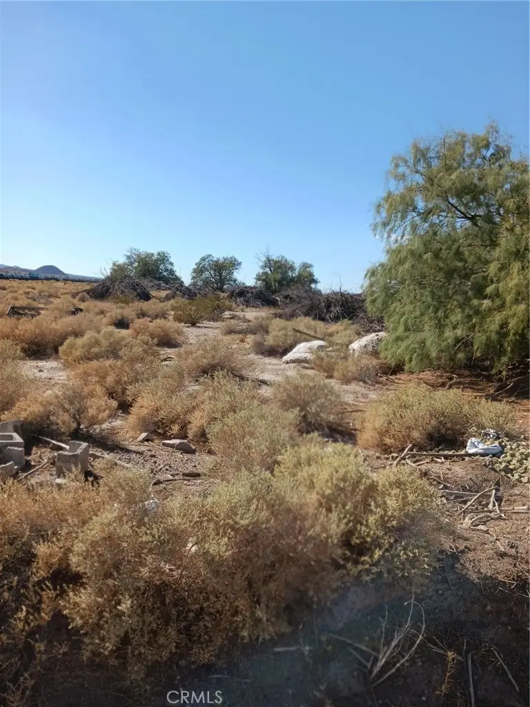 0 Mountain View Road, Newberry Springs, CA 92365 - #3